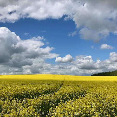 Gut Börtewitz Apartment *
