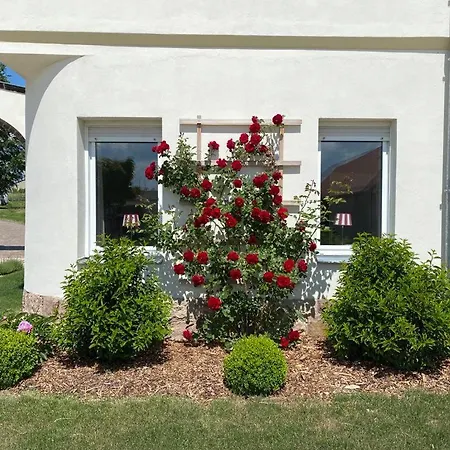 Апартаменты Gut Boertewitz *