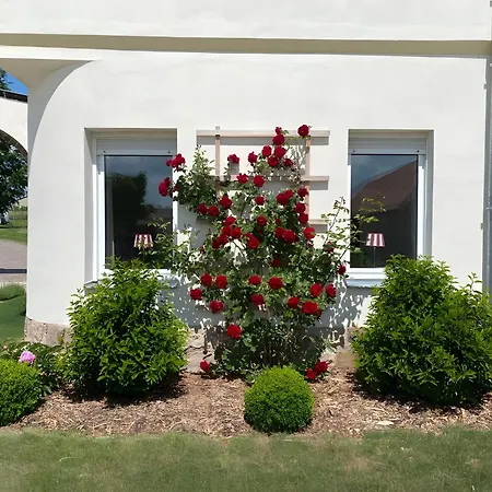 Gut Börtewitz Apartment Leisnig